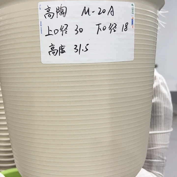 正品高陶口30高31白色3只无托