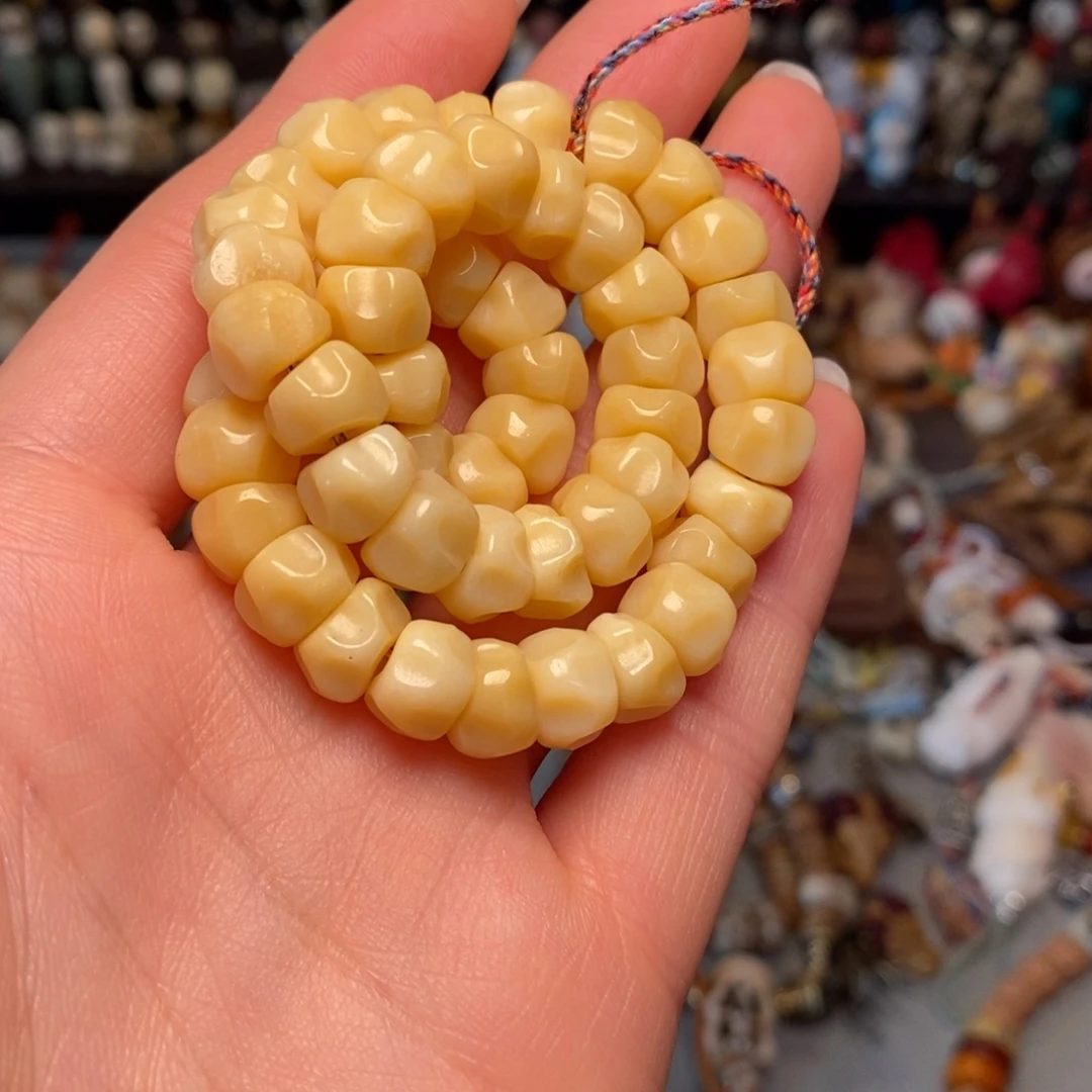 菩提籽类驼骨大肠9➕