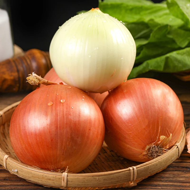新鲜黄皮洋葱圆洋葱生吃脆甜蔬菜农家自种农产品现挖黄皮白心洋葱