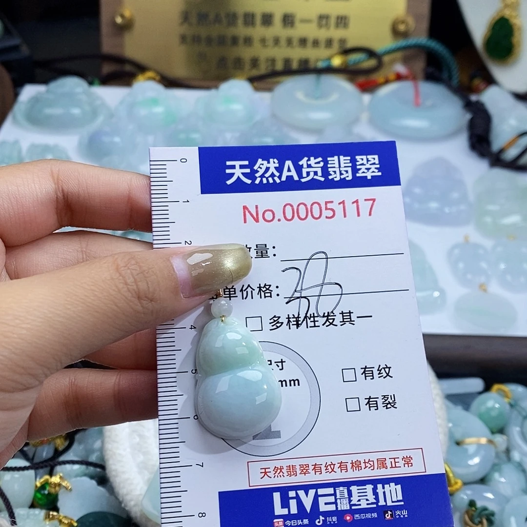 翡翠未镶嵌颈饰5117