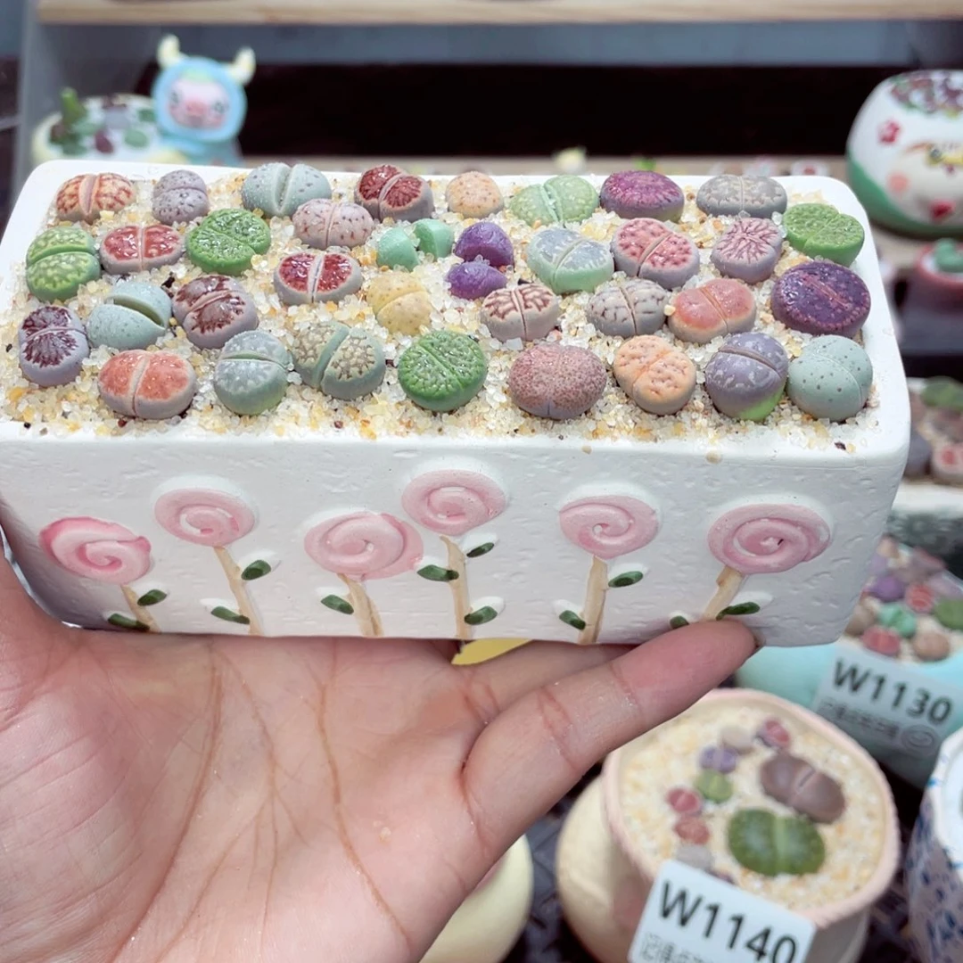 w1143 零下地区拍保温箱