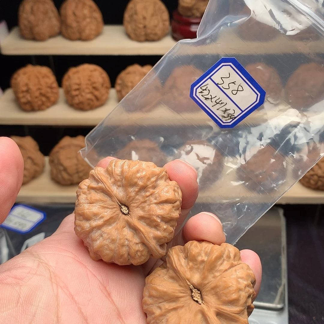 后***。核桃42尺358的蛤蟆头