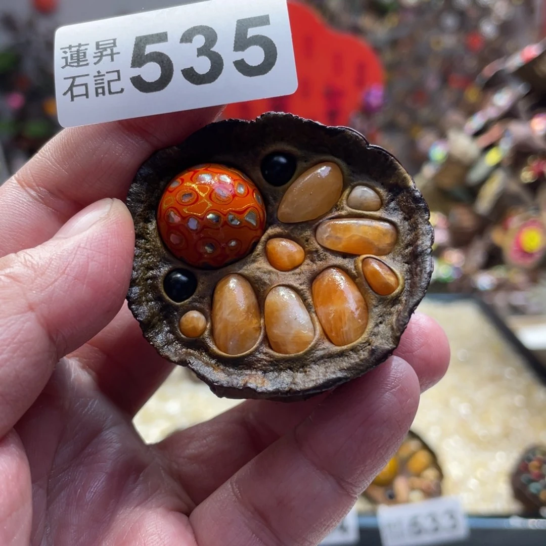 核桃木/黑胡桃（胡桃木）535