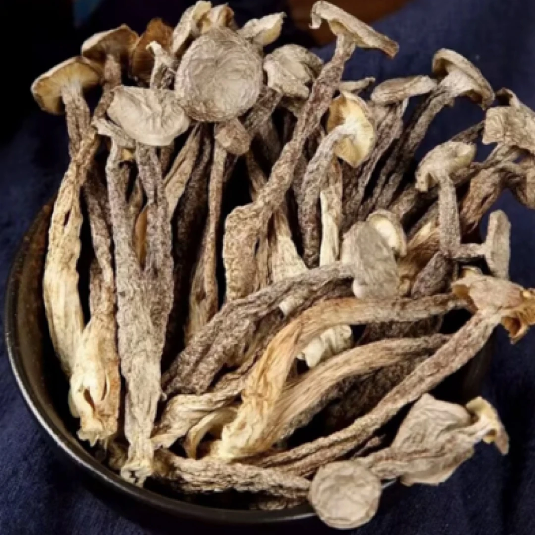 【五子甄选】高山家常菜无硫无熏鹿茸菇干货可凉拌炒肉煲汤挑战菌菇