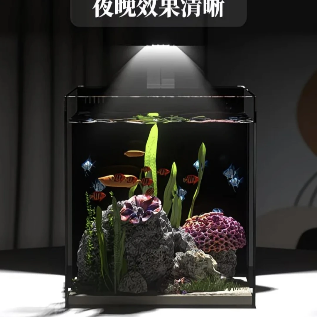 超白玻璃背滤鱼缸海缸海水鱼缸海水缸