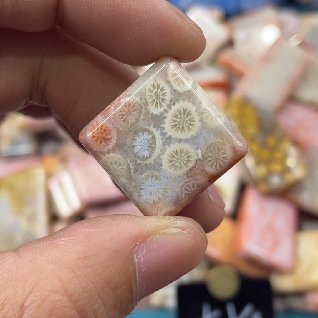 未镶嵌手镯硅化玉