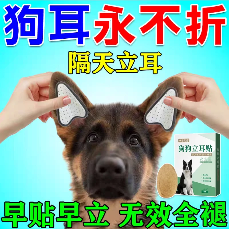 狗狗耳朵耷拉为什么不立了用立耳神器快速立耳恢复立耳矫正耳形