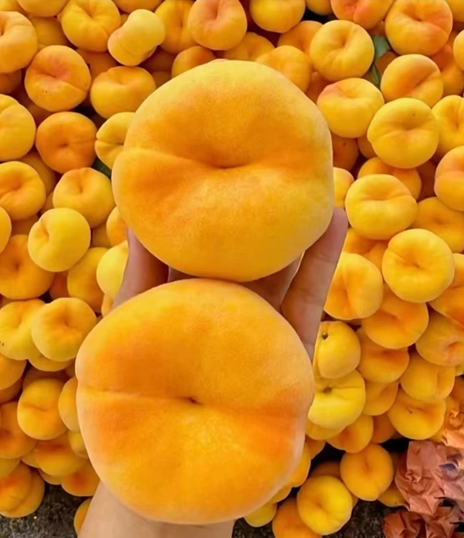 陕西黄毛蟠桃102、皮薄肉厚新鲜水果当季整箱现摘时令水果