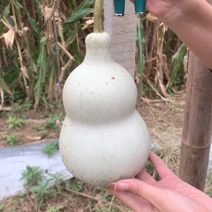 否***F中号现货供应产品