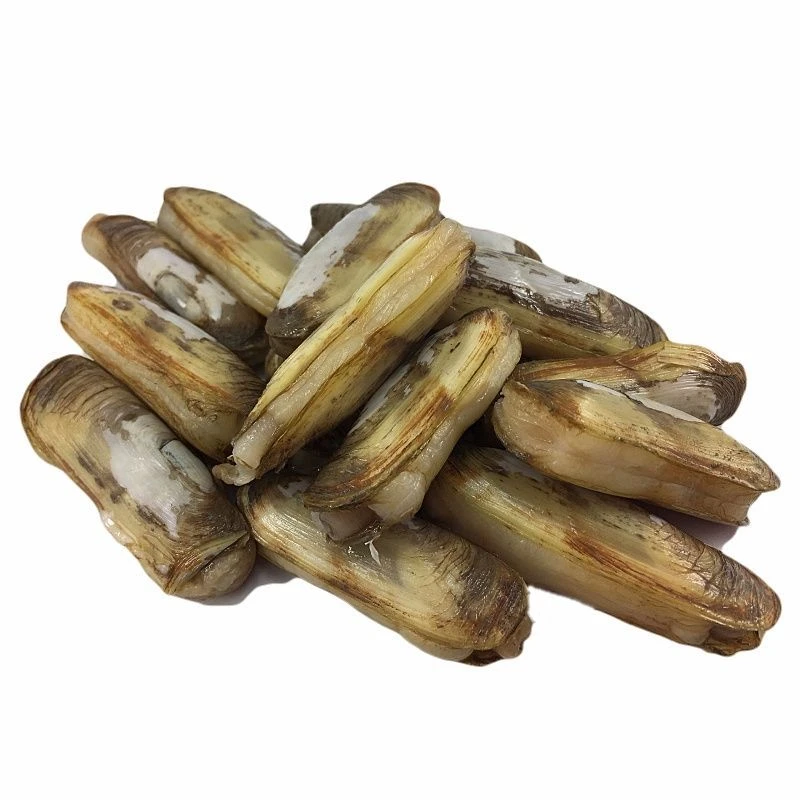 新鲜海蛏500g/份