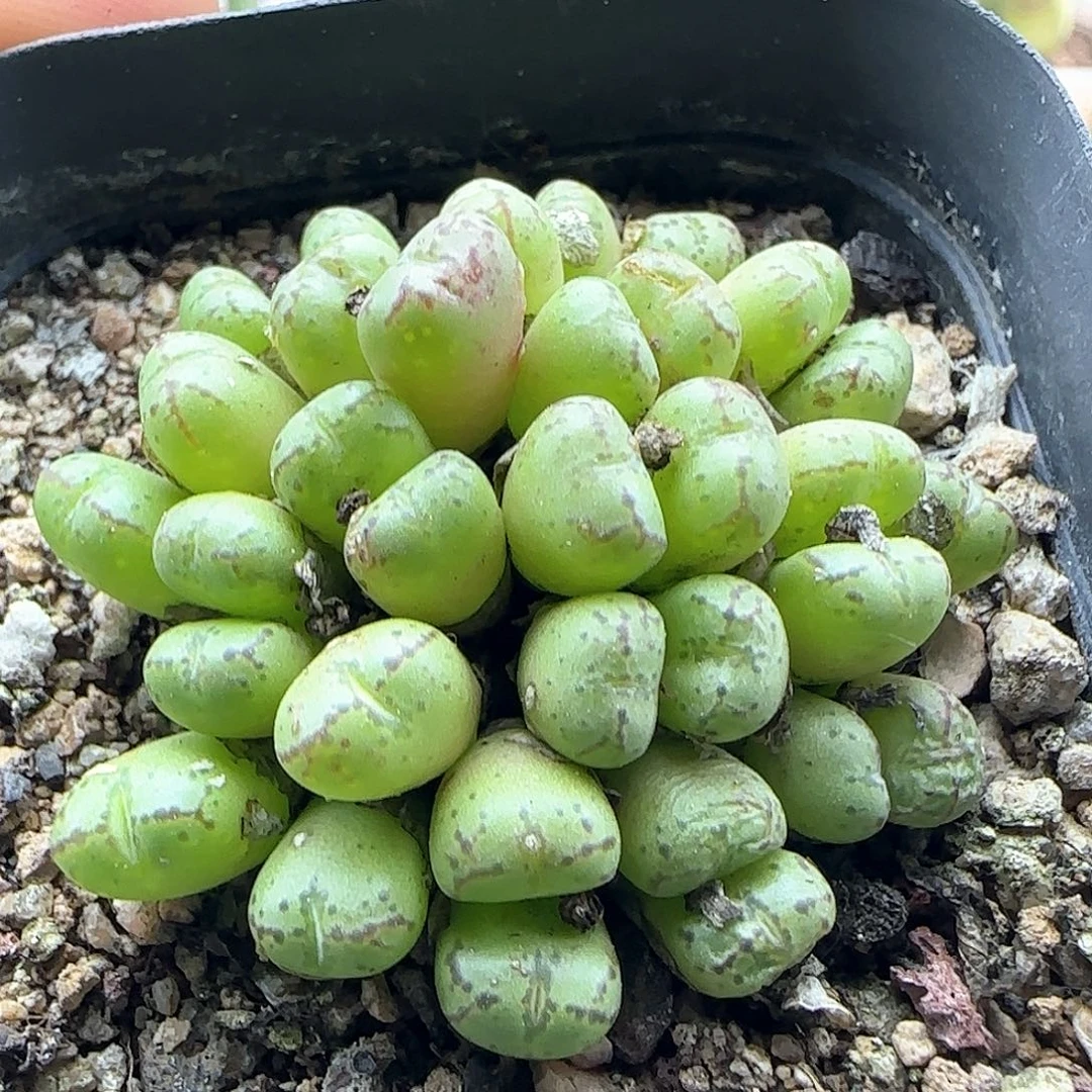 大甩卖开始啦43315