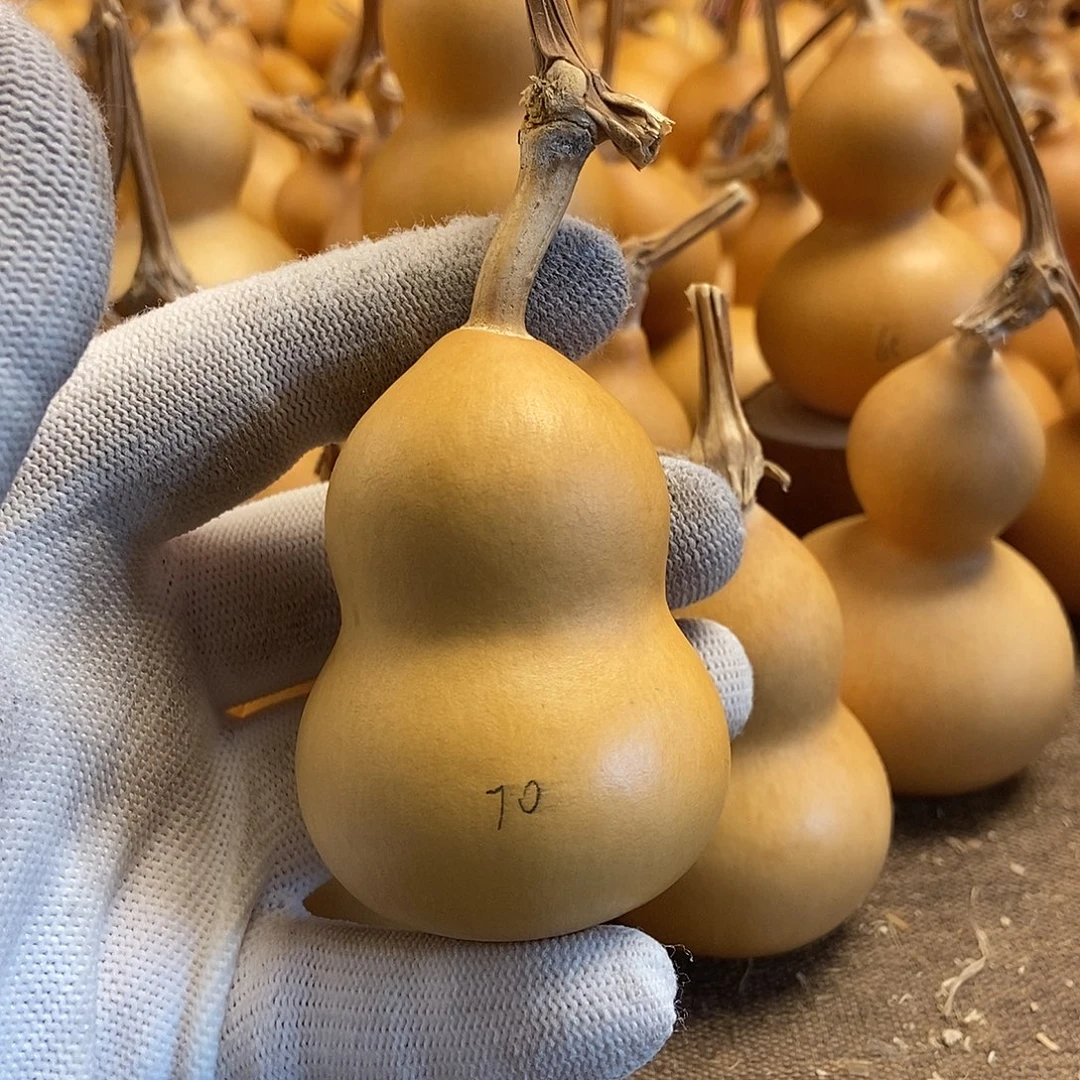 文玩葫芦 完美主义者 慎拍70