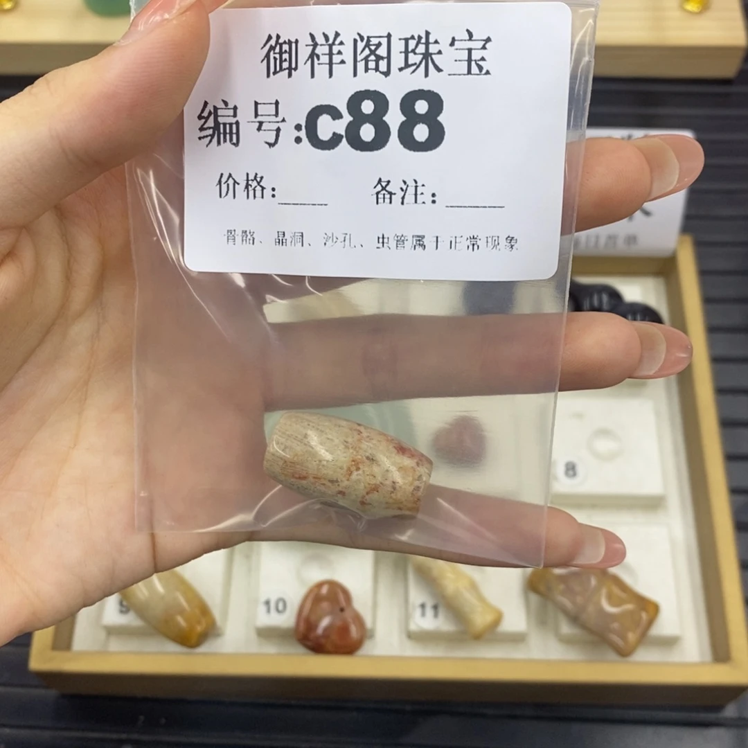 硅化珊瑚（珊瑚玉）C未镶嵌用****5