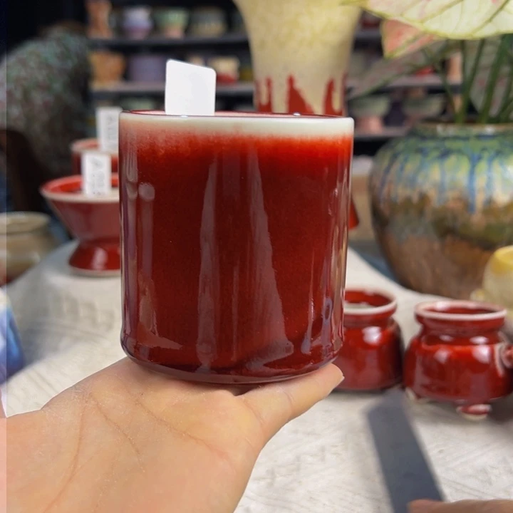 景德镇陶瓷研究所大****鱼