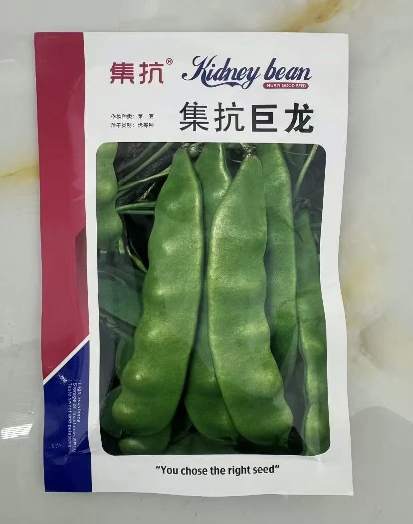 【巨龙豆角种子】四季种植盆栽地栽阳台小院种植