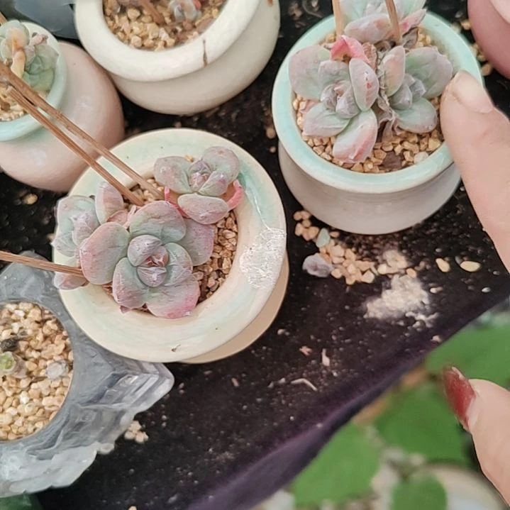 福利福利福利不售后