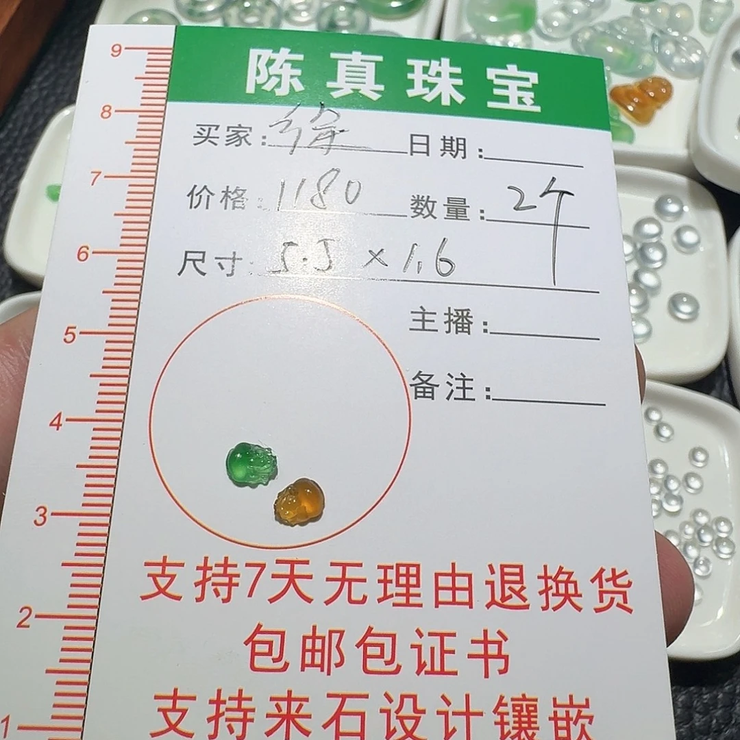 徐***言翡翠未镶嵌颈饰貔貅