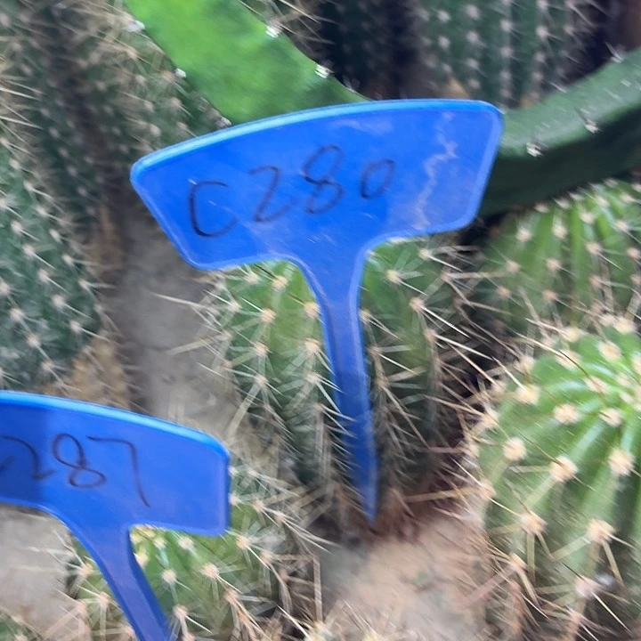 改*C280,清709瑕疵歪头