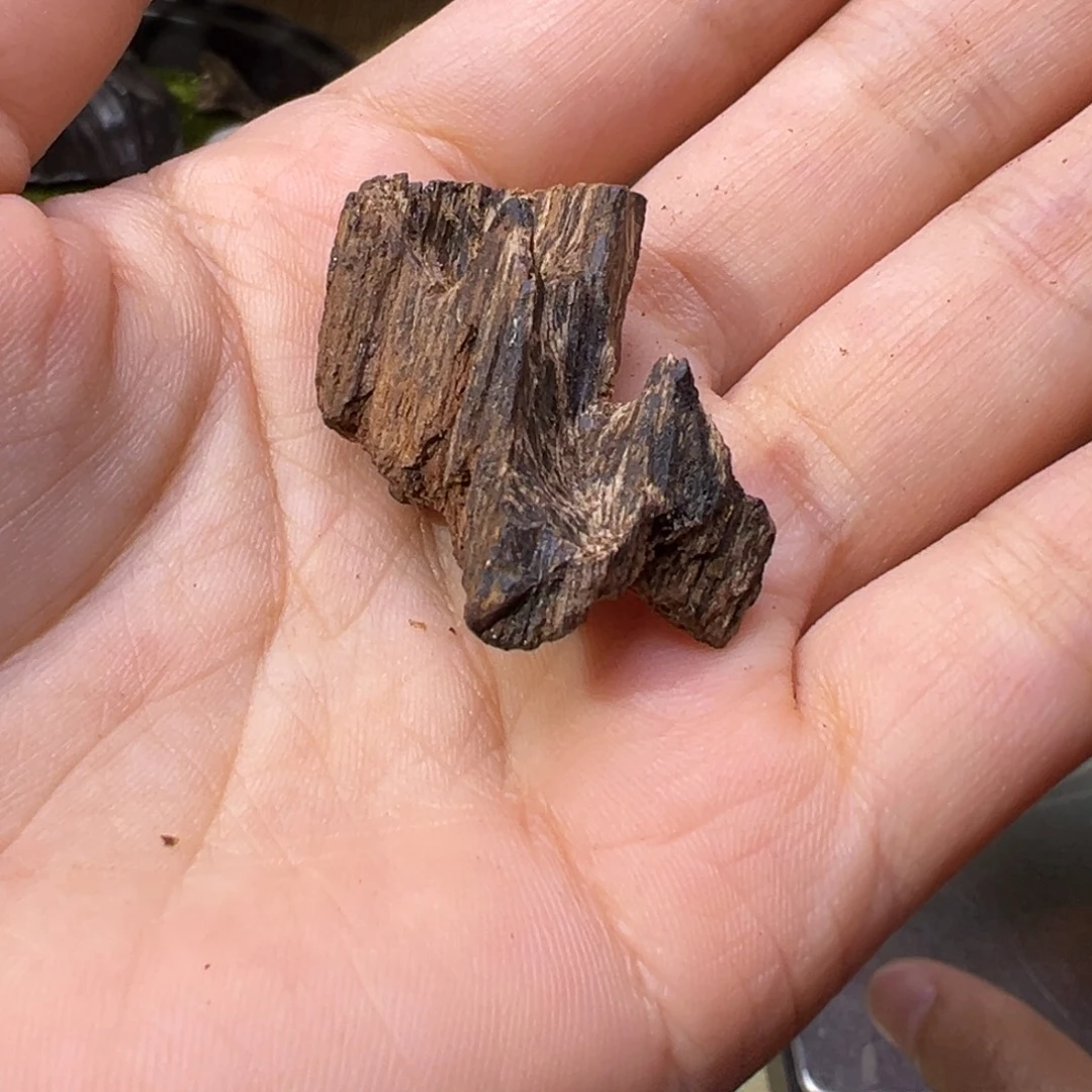 香榧木海南木料大山沉水熟结包头3.2克