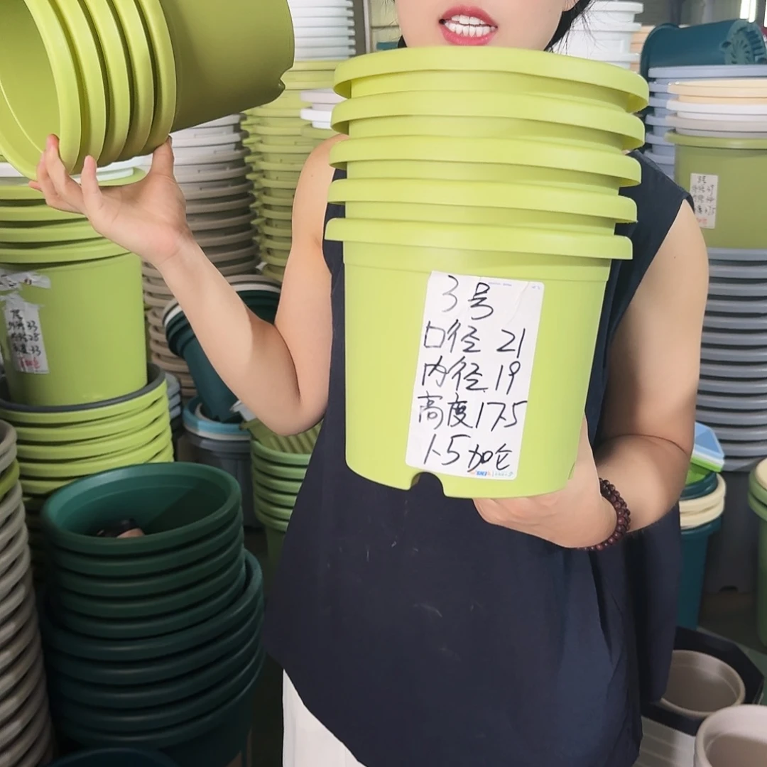 微瑕3#口径21无拖果绿10个