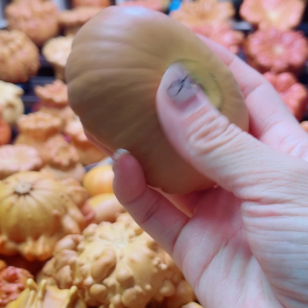 永***恒陶瓷墨西哥葫芦可盘可摆