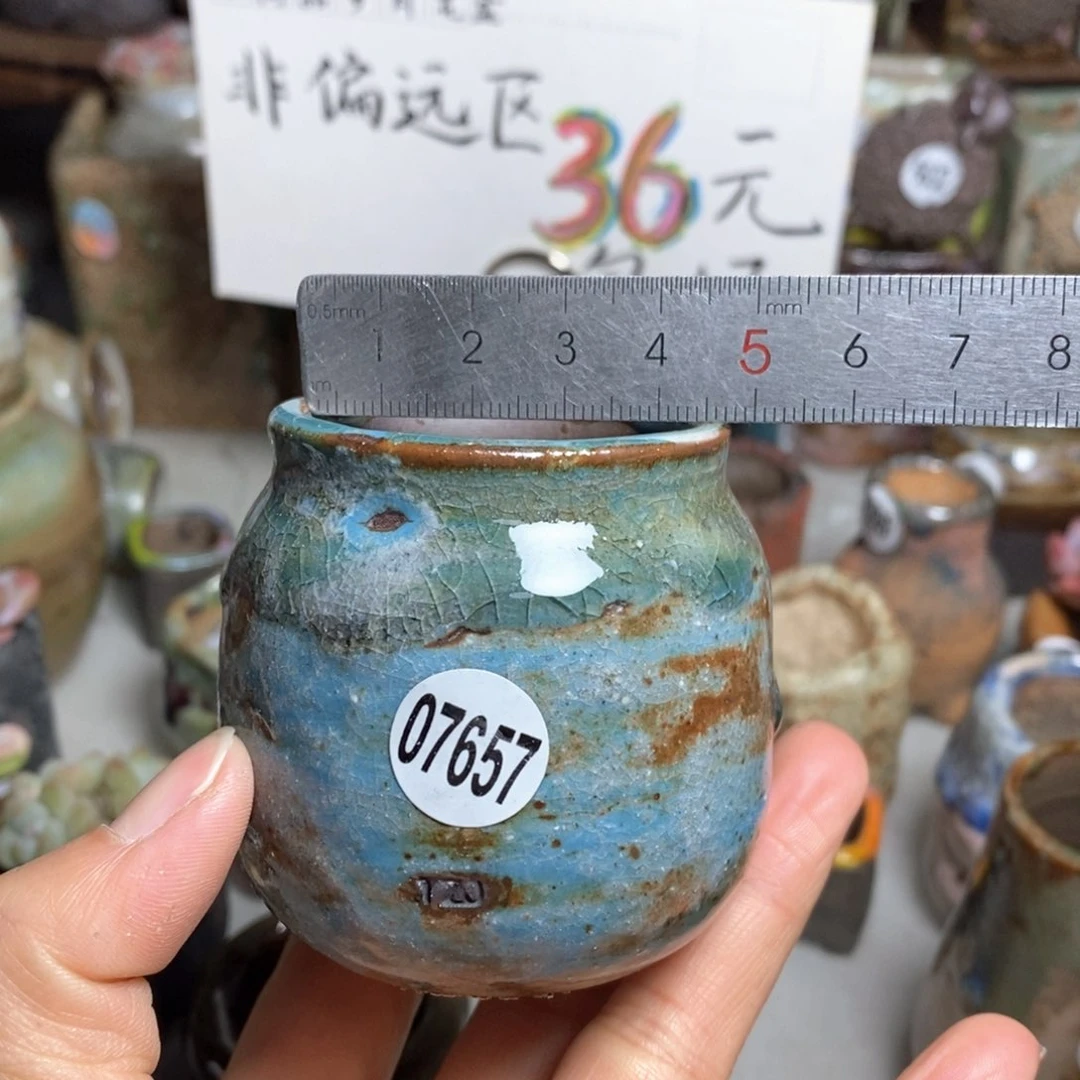 花盆拍5送一个小礼物