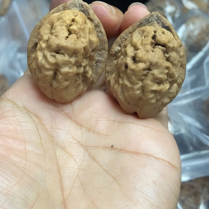 木质类云南铁核桃基地57