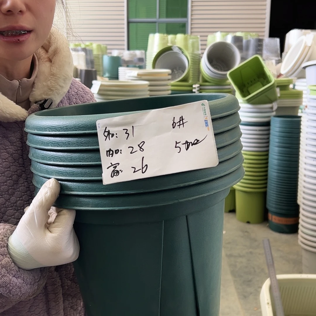 瑕疵青山盆6#墨绿6个无托