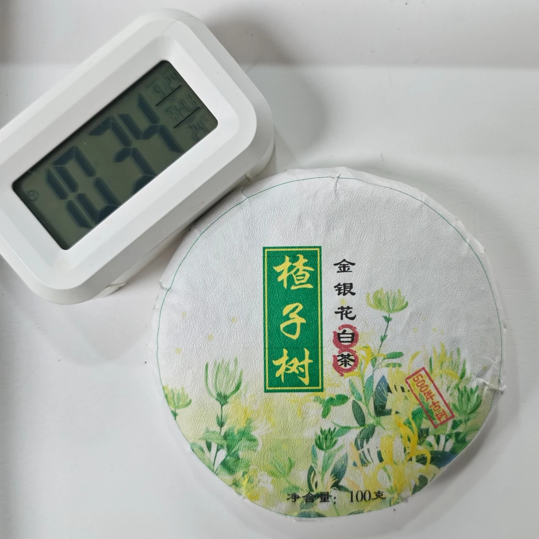 2025年 渣子树 春茶 白茶茶饼100g 9月24日 【005】