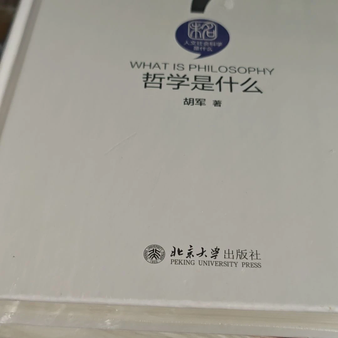 哲学是什么库存书
