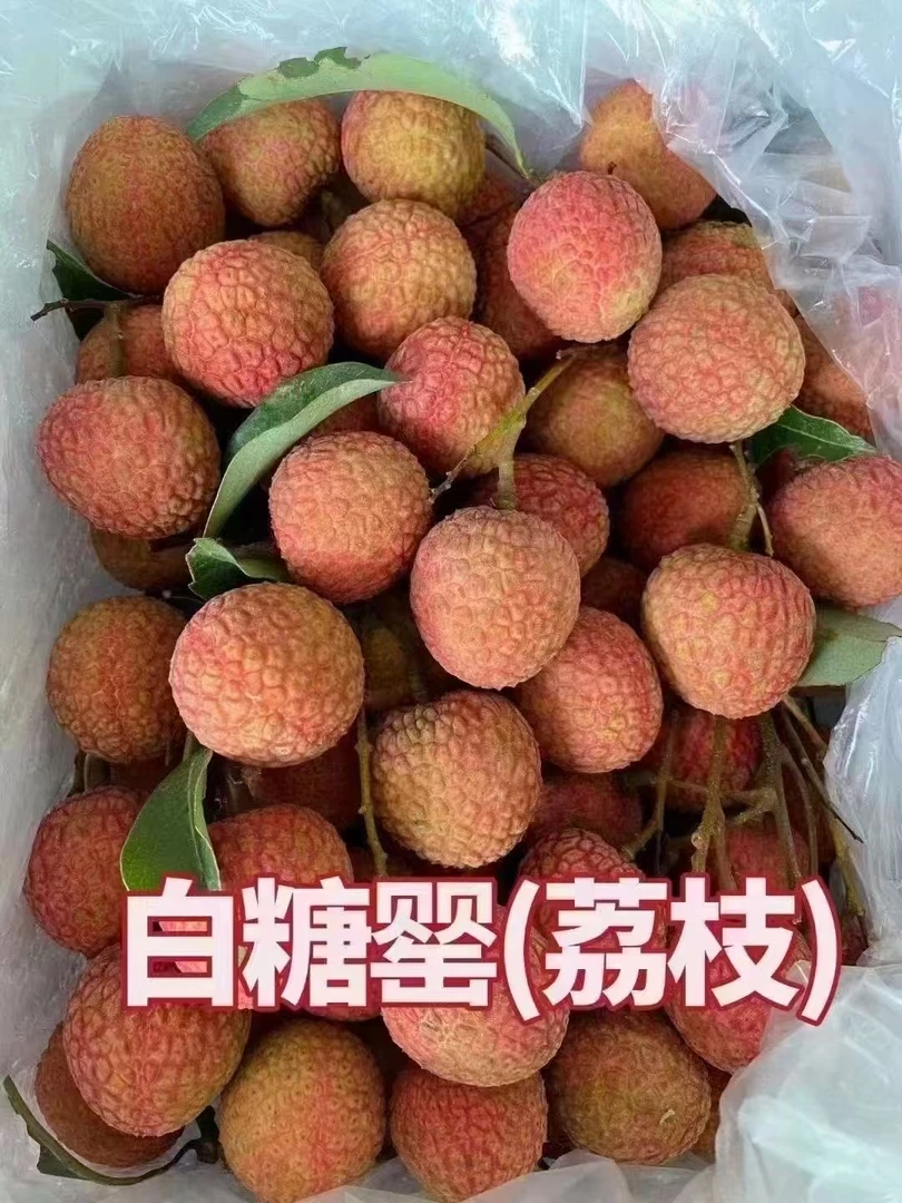 白糖罂荔枝头茬现摘当季新鲜水果肉厚多汁包邮