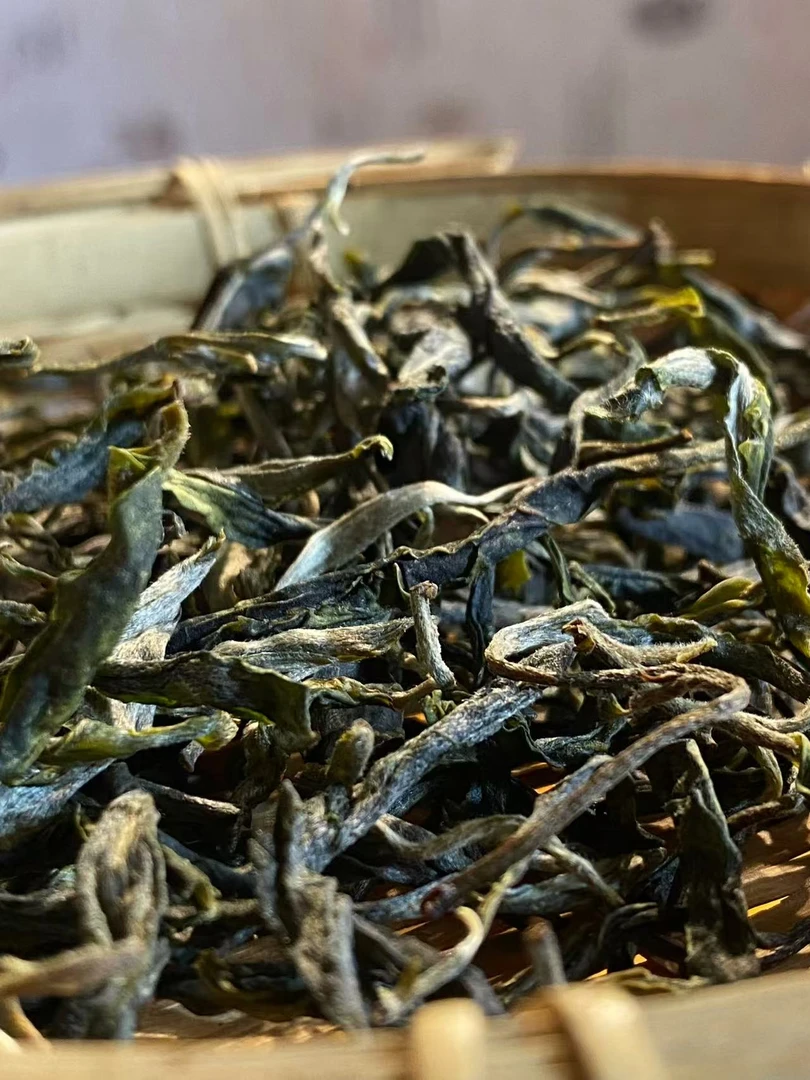 【冰岛坝歪54号】2025.春古树单株散茶