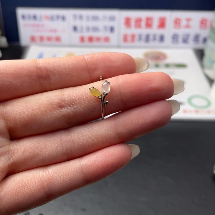 【闪购商品】未镶嵌翡翠定制翡翠