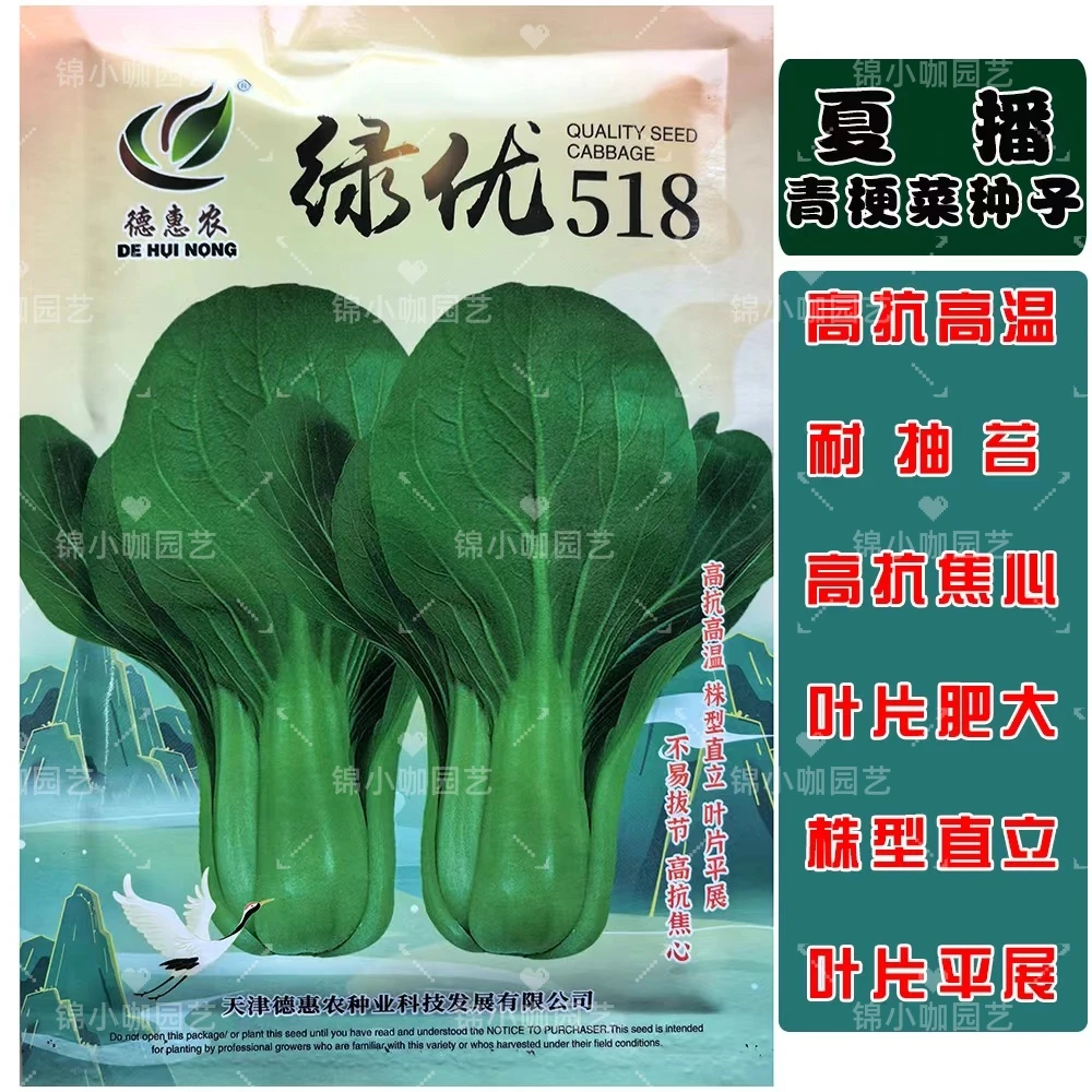 绿优518小青菜种子耐热耐抽苔高产青梗菜种籽上海青四季蔬菜种孑