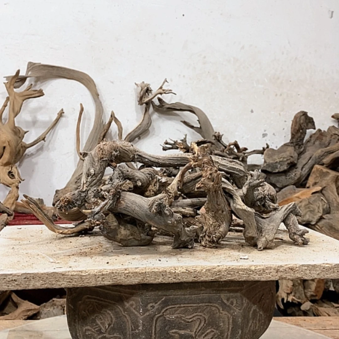 【闪购商品】柏木潮*哥我们都是好孩子