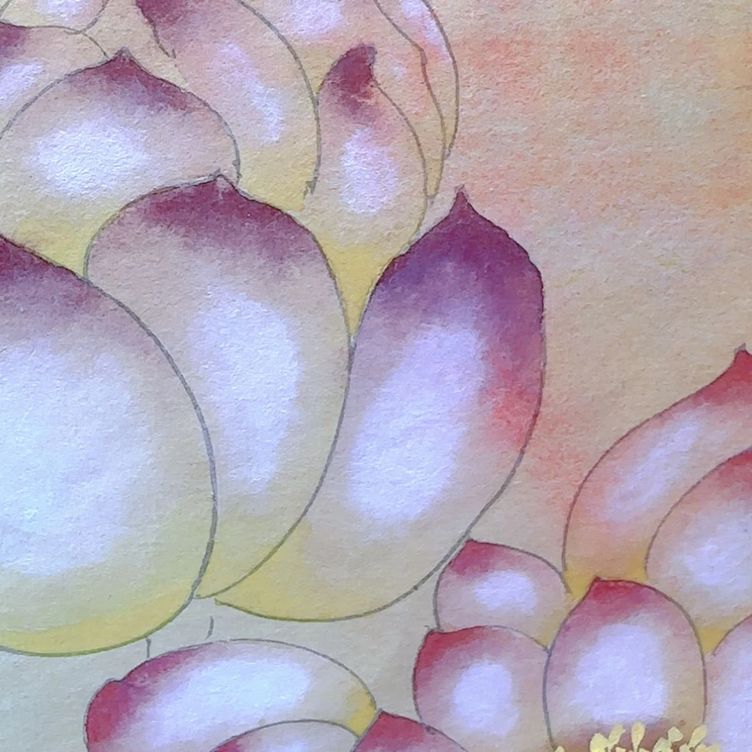 【闪购商品】国画书法作品欣赏，书法作品欣赏，书法