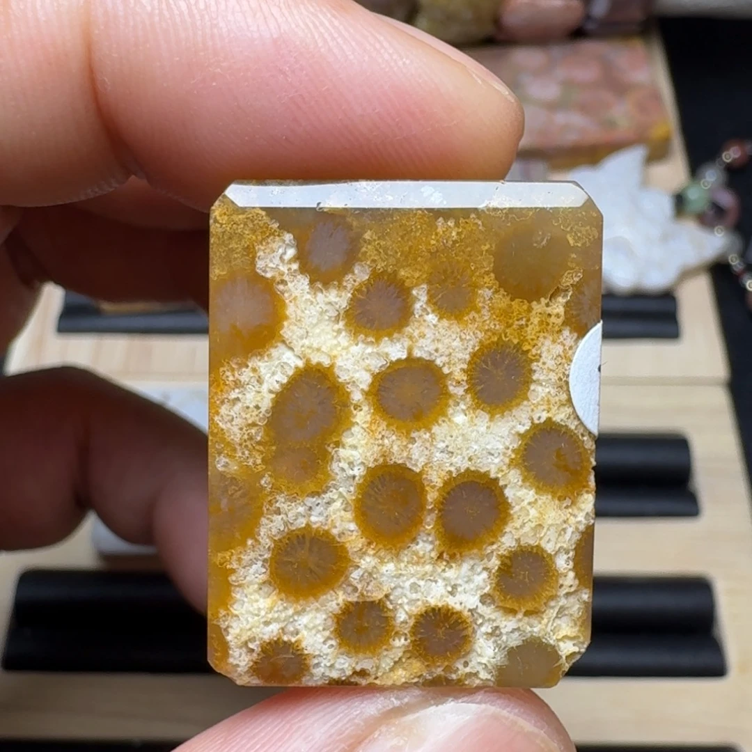 未镶嵌纯天然色有机玉石保真色硅化玉