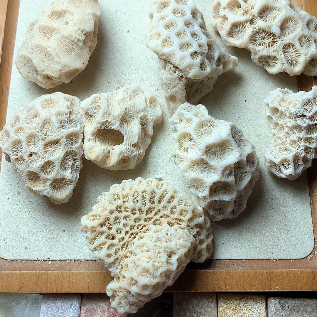 硅化珊瑚（珊瑚玉）颈饰未镶嵌有**菜