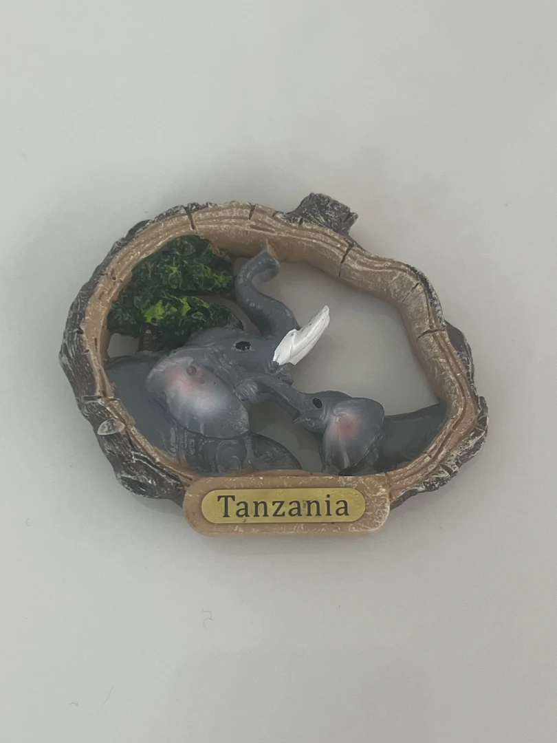 宇晴老师定制坦桑尼亚冰箱贴