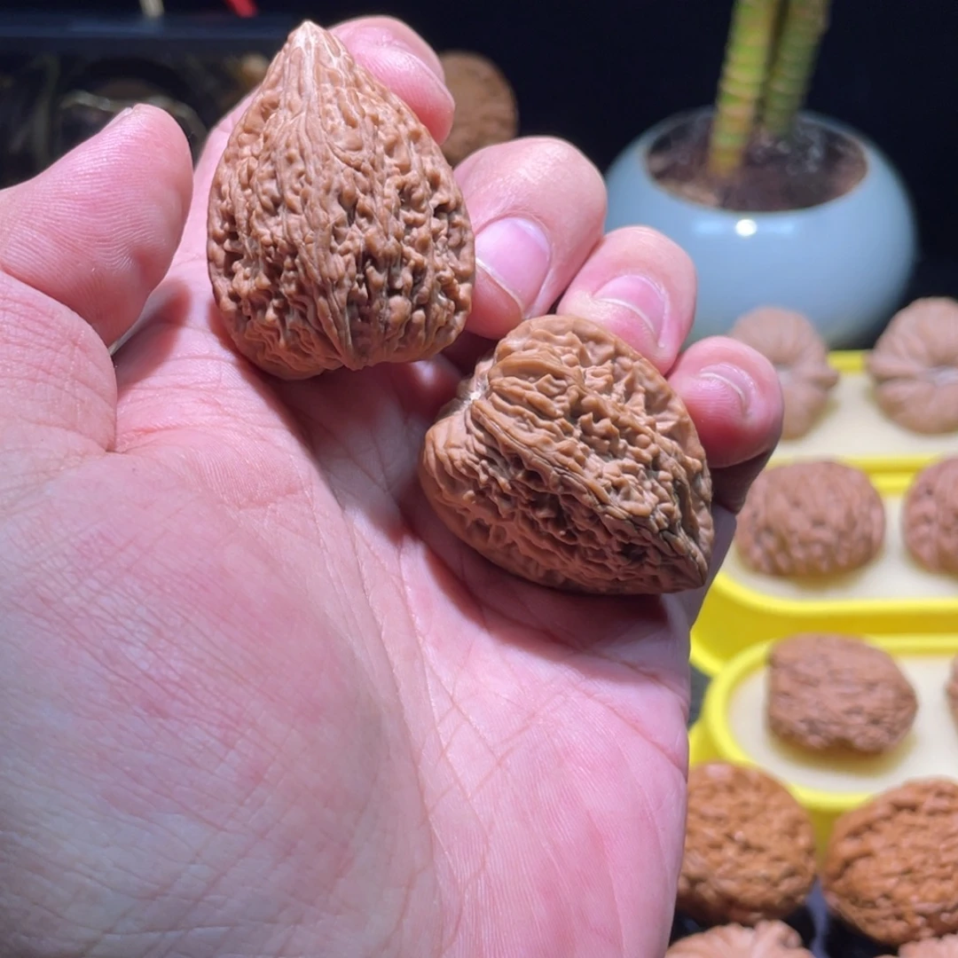 是***的文玩核桃把件32全品正尖塔尖