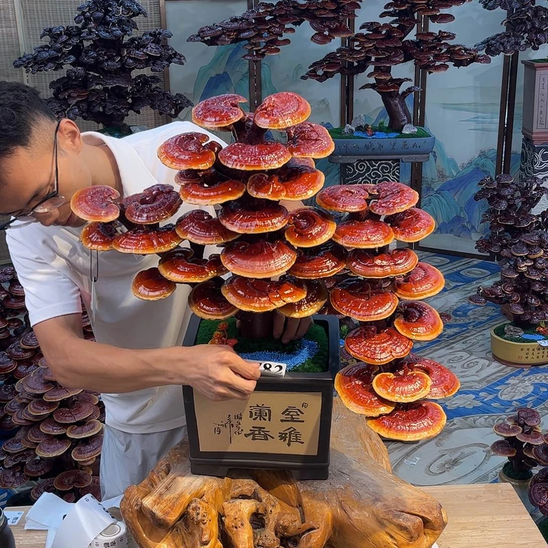 无花朵888888888888