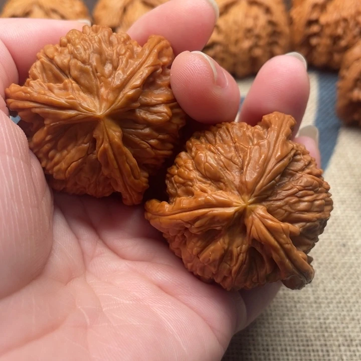 桀****核桃白狮子42核桃