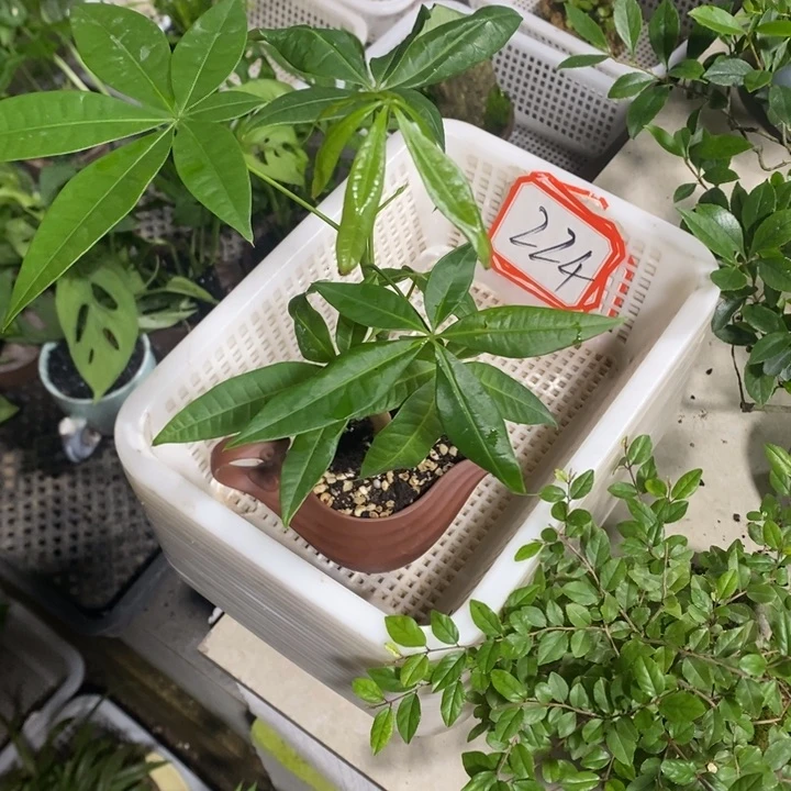 华****流退款拉黑一物一拍224