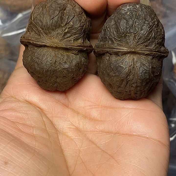 把件文玩核桃云南铁核桃13