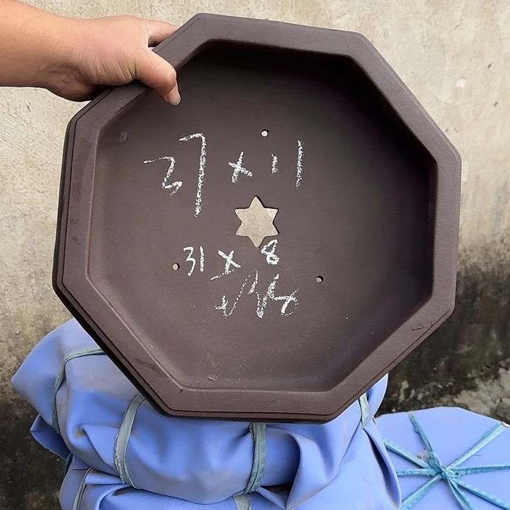 花盆紫砂这是什么