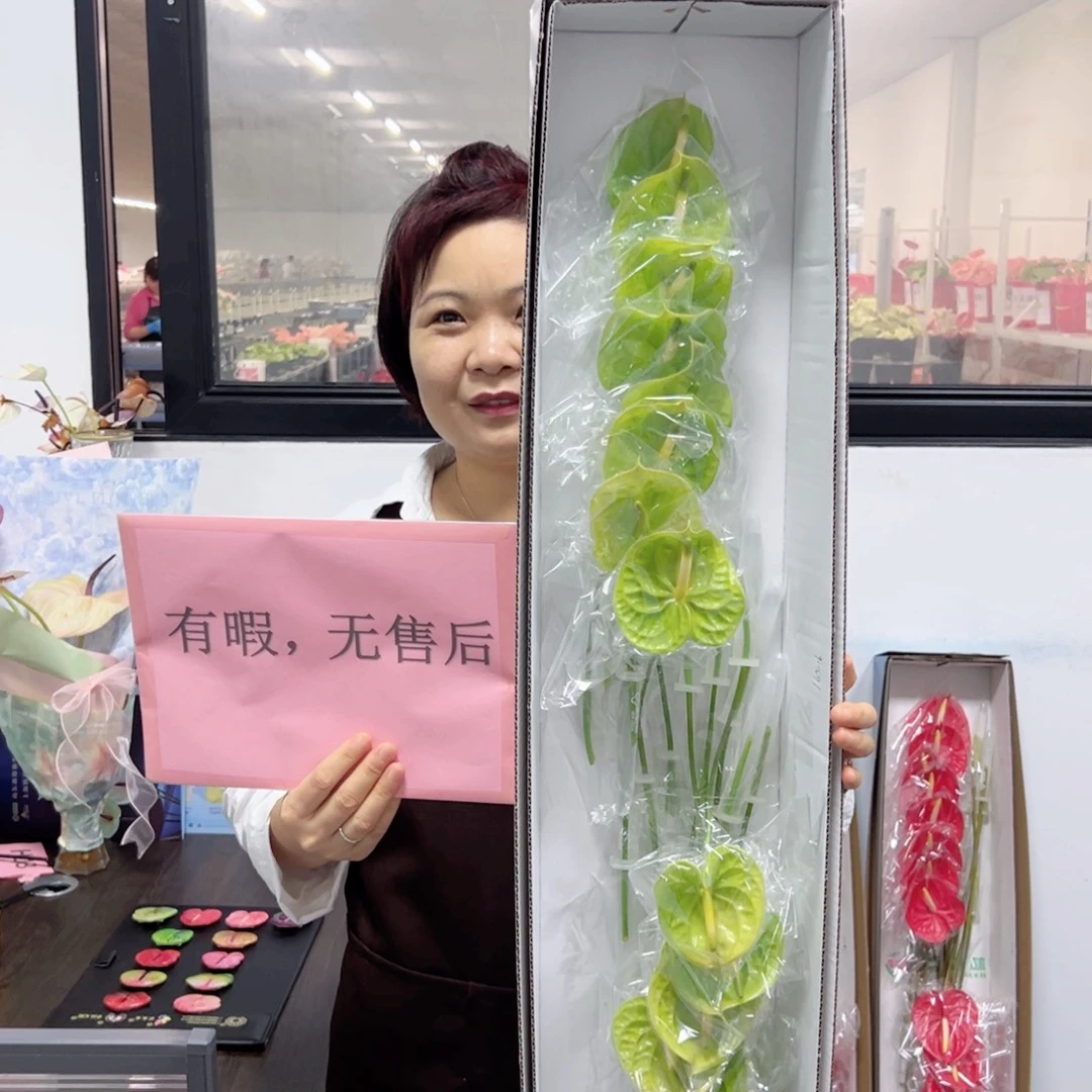 完全开放绿掌-16枝装无售后款！