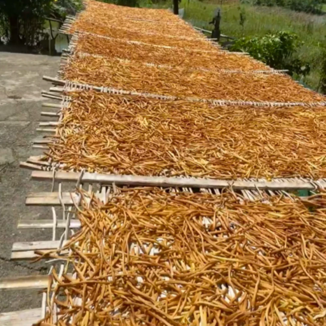 湖南郴州农家自晒黄花菜煲汤