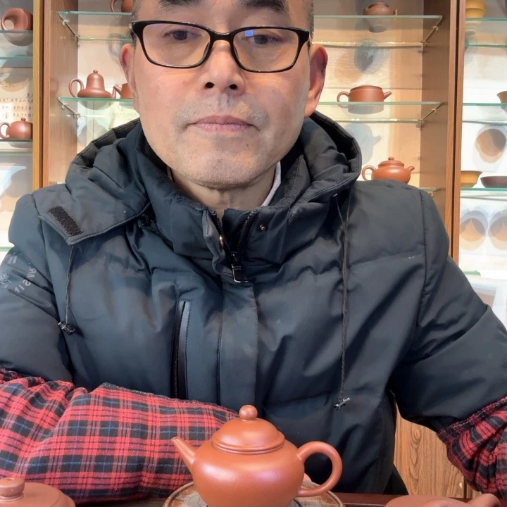 罗***圈紫砂茶壶半手工水平壶原矿朱泥