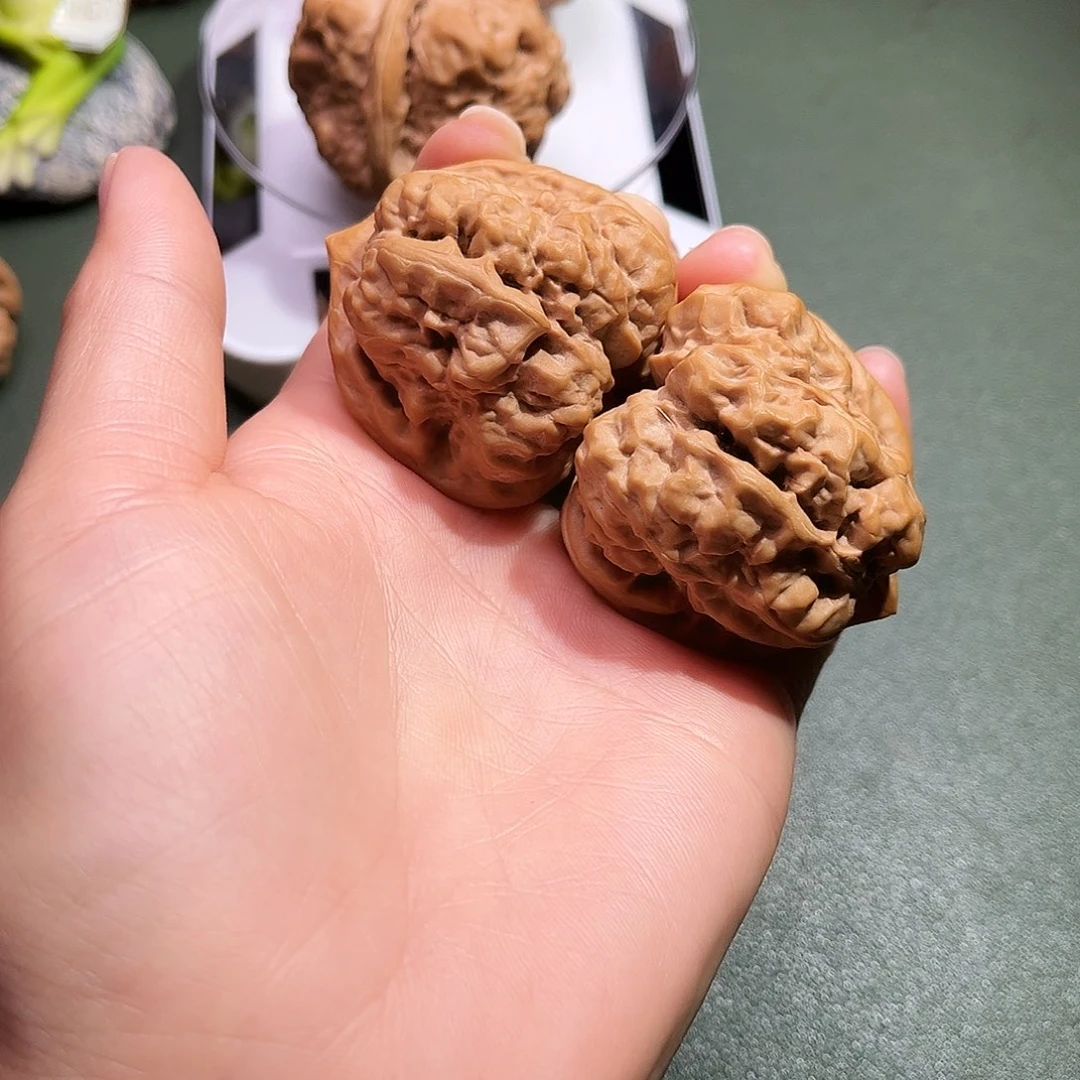 核桃涞水山地果蛤莫头42尺