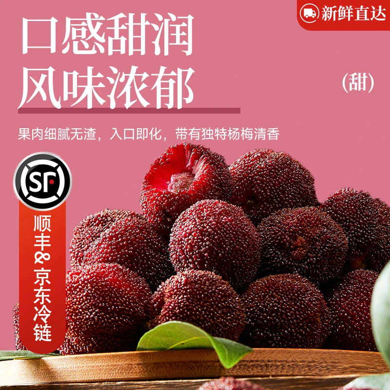 浙江仙居东魁杨梅头茬果XL果超大果现摘臭氧杀菌氮气锁鲜礼盒装1.8-3.6斤净重新鲜杨梅浙江省
